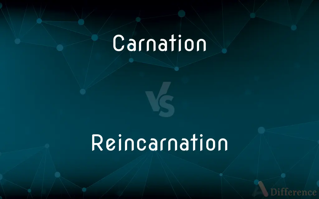 Carnation vs. Reincarnation — What's the Difference?