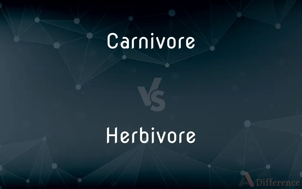 Carnivore vs. Herbivore — What's the Difference?