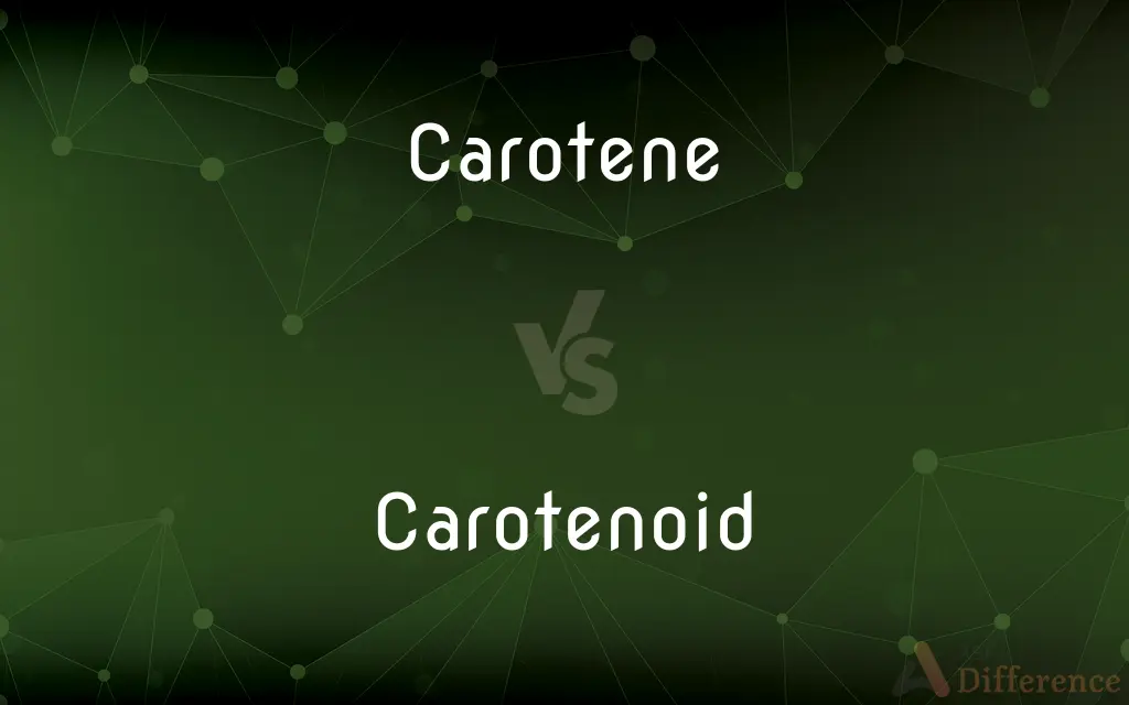 Carotene vs. Carotenoid — What's the Difference?
