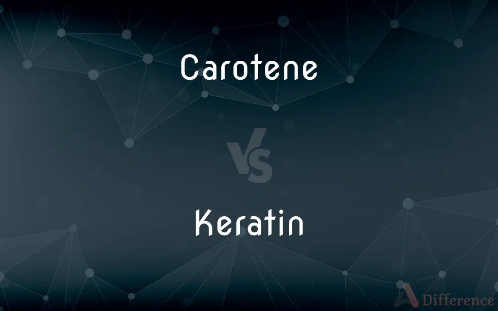 Carotene vs. Keratin — What's the Difference?