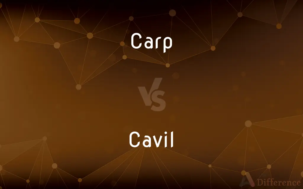 Carp vs. Cavil — What's the Difference?