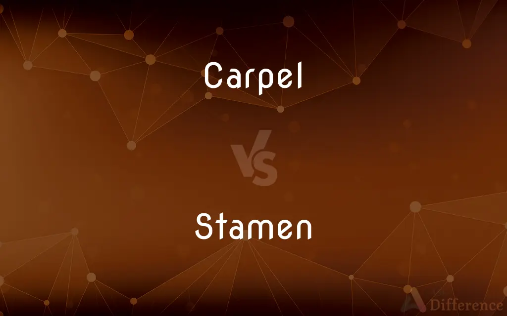 Carpel vs. Stamen — What's the Difference?