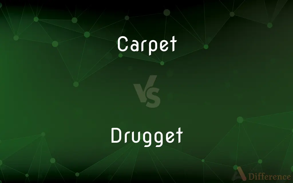 Carpet vs. Drugget — What's the Difference?