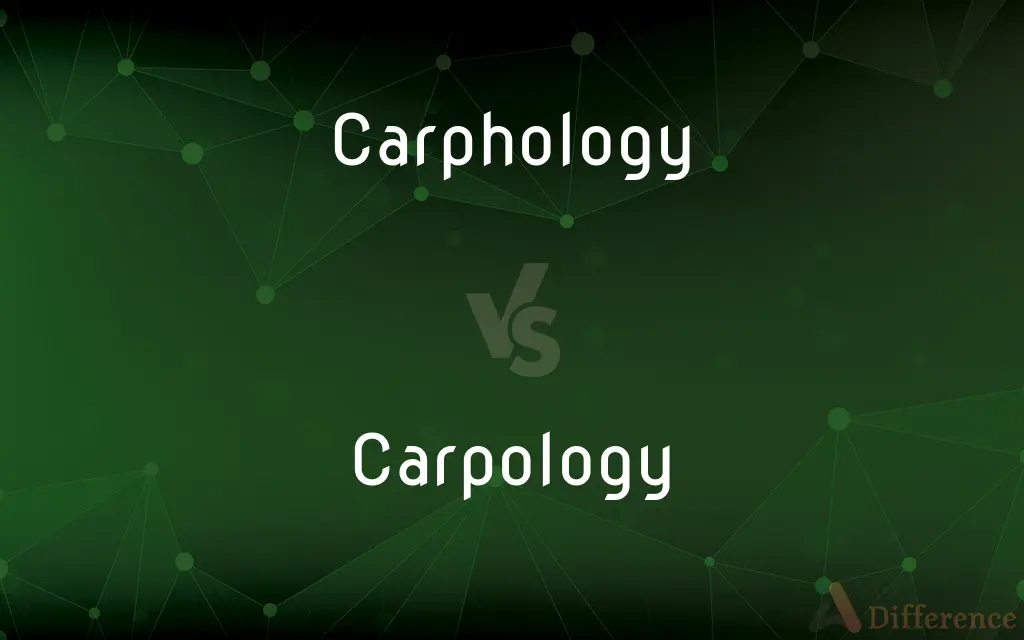 Carphology vs. Carpology — What's the Difference?
