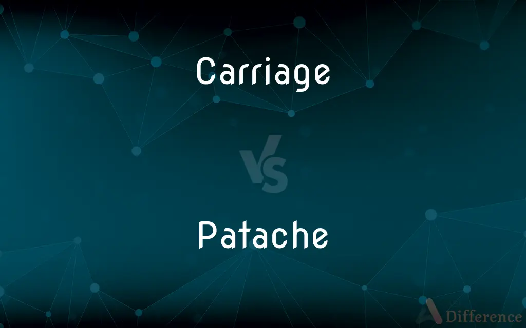Carriage vs. Patache — What's the Difference?