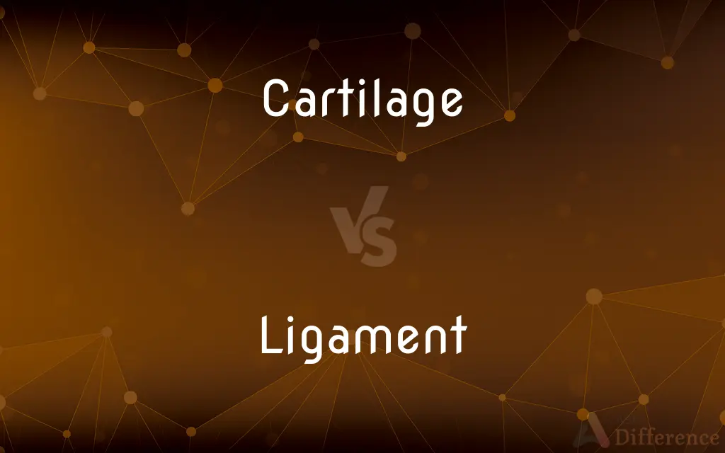 Cartilage vs. Ligament — What's the Difference?