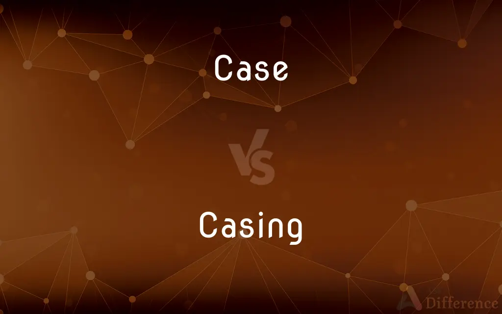 Case vs. Casing — What's the Difference?
