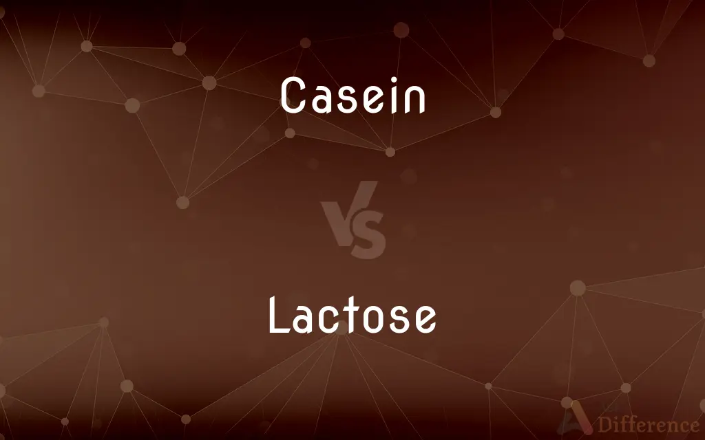 Casein vs. Lactose — What's the Difference?