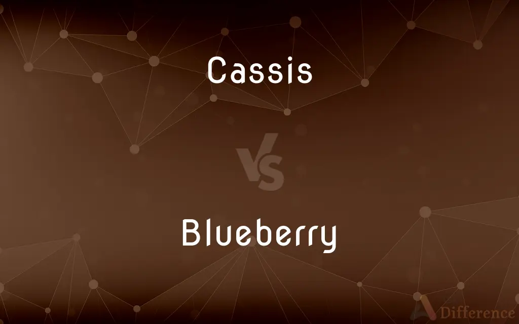 Cassis vs. Blueberry — What's the Difference?