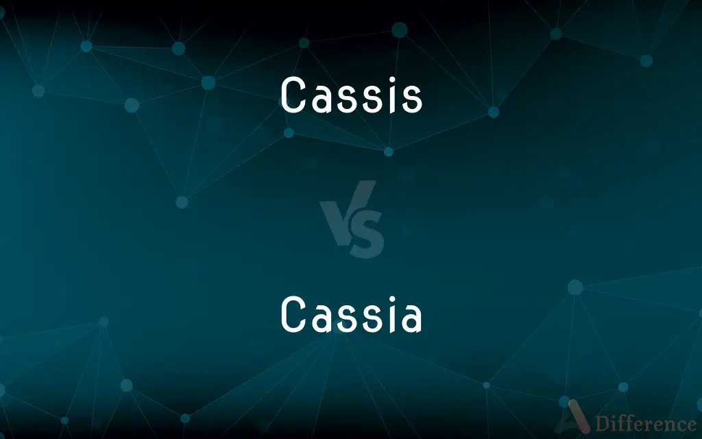 Cassis vs. Cassia — What's the Difference?