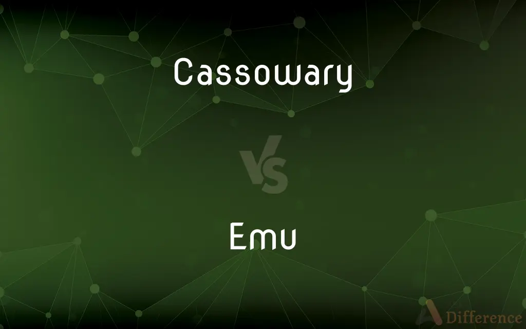 Cassowary vs. Emu — What's the Difference?