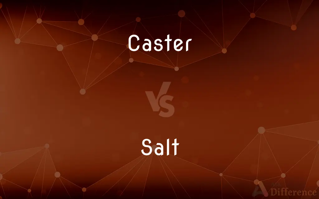 Caster vs. Salt — What's the Difference?