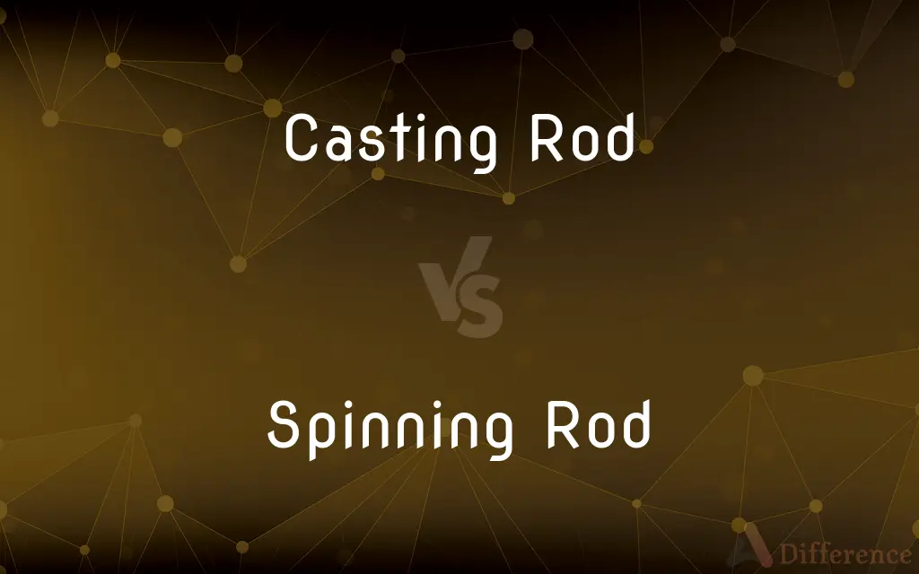 Casting Rod vs. Spinning Rod — What's the Difference?