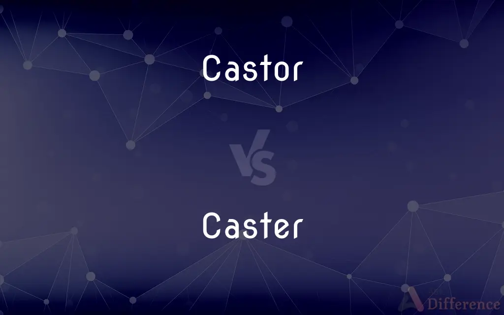 Castor vs. Caster — What's the Difference?
