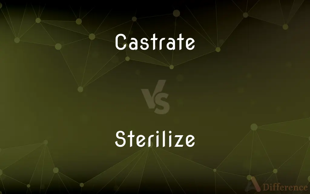 Castrate vs. Sterilize — What's the Difference?