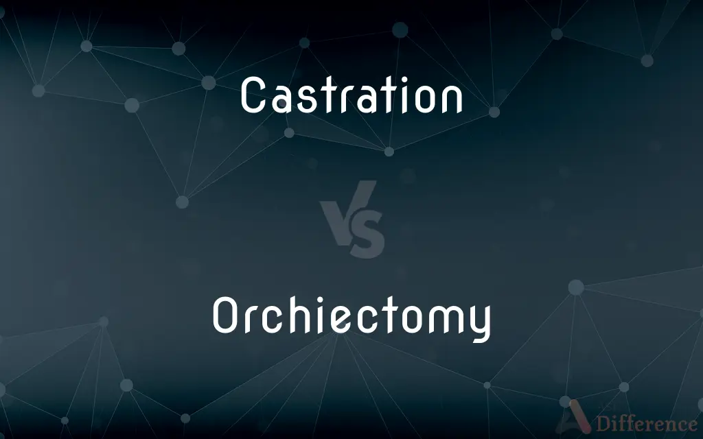 Castration vs. Orchiectomy — What's the Difference?