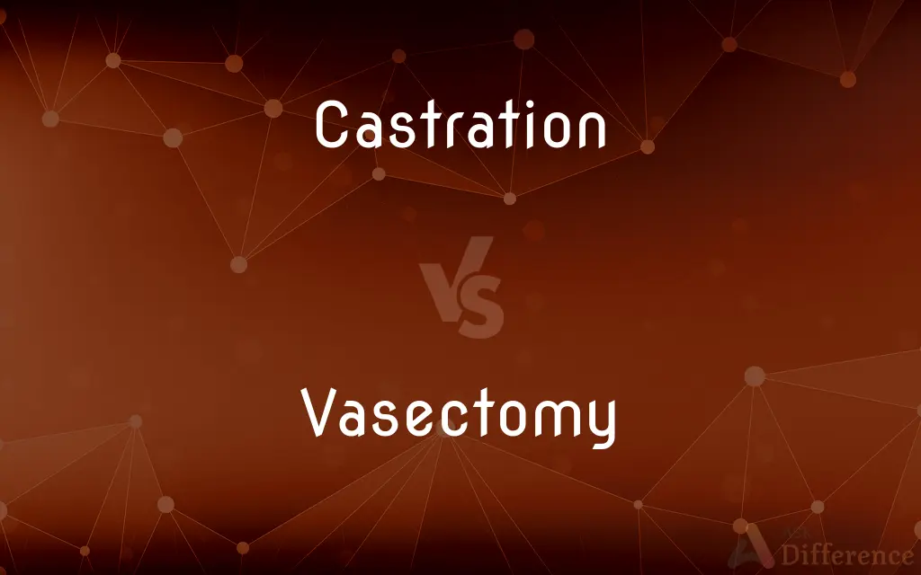 Castration vs. Vasectomy — What's the Difference?