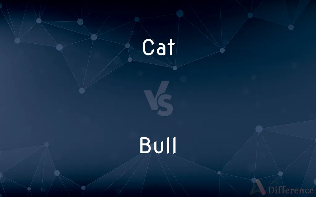 Cat vs. Bull — What's the Difference?