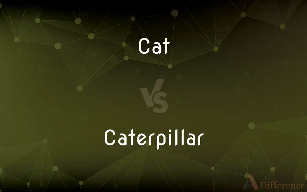 Cat vs. Caterpillar — What's the Difference?