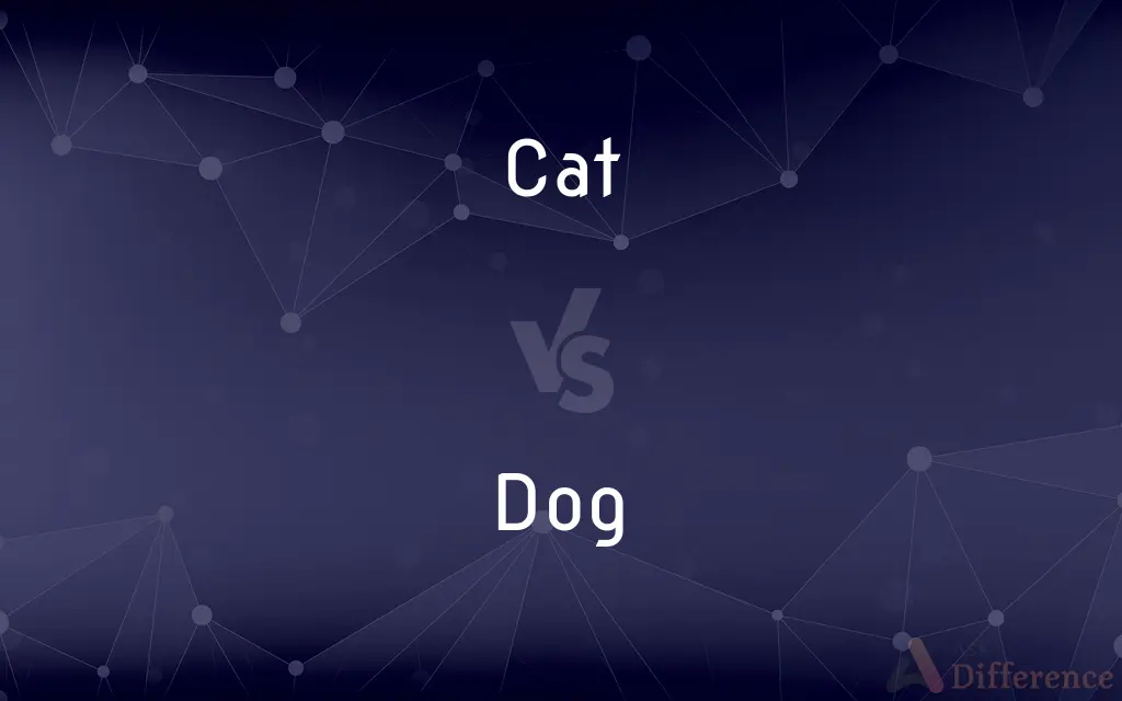 Cat vs. Dog — What's the Difference?