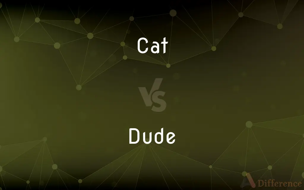 Cat vs. Dude — What's the Difference?