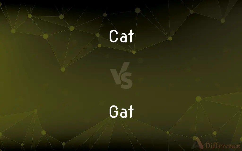Cat vs. Gat — What's the Difference?