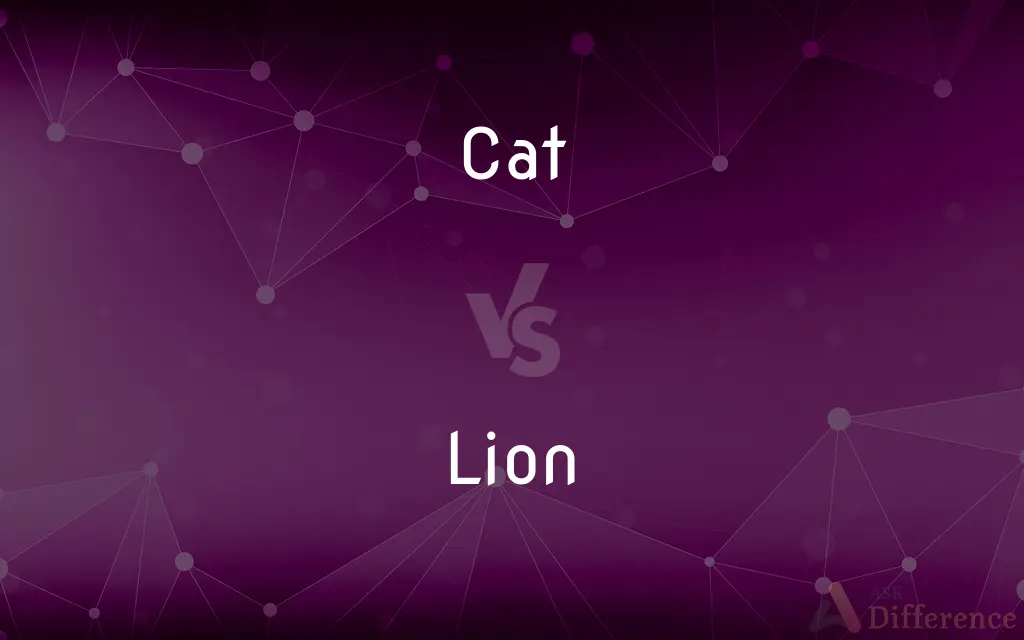 Cat vs. Lion — What's the Difference?