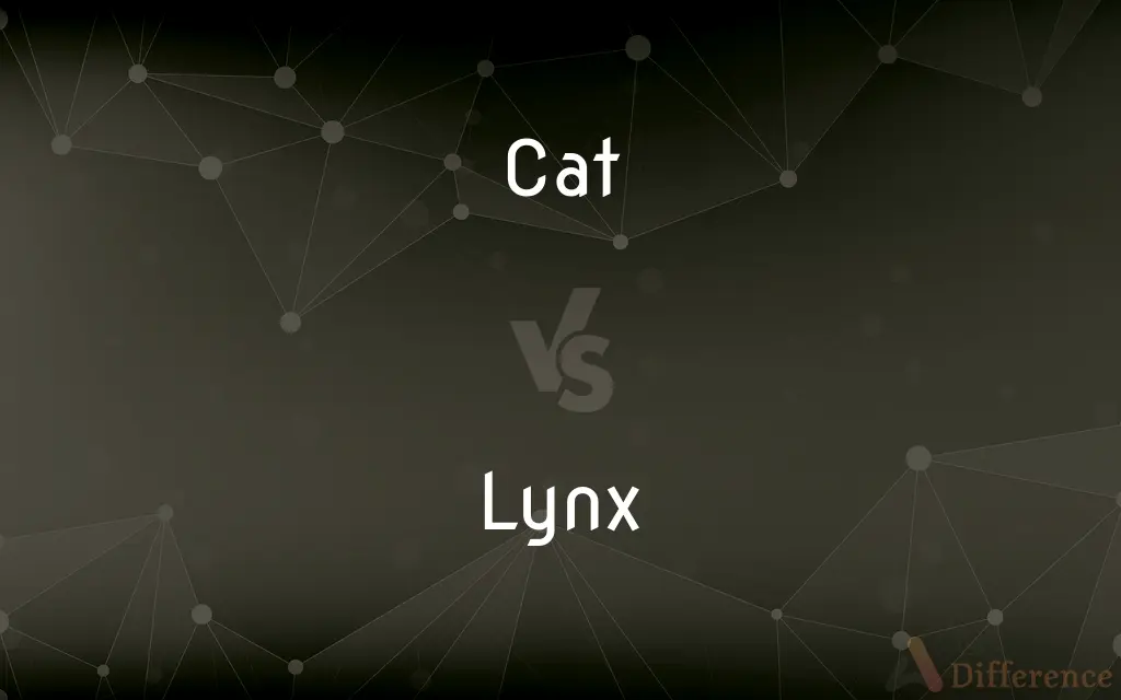 Cat vs. Lynx — What's the Difference?