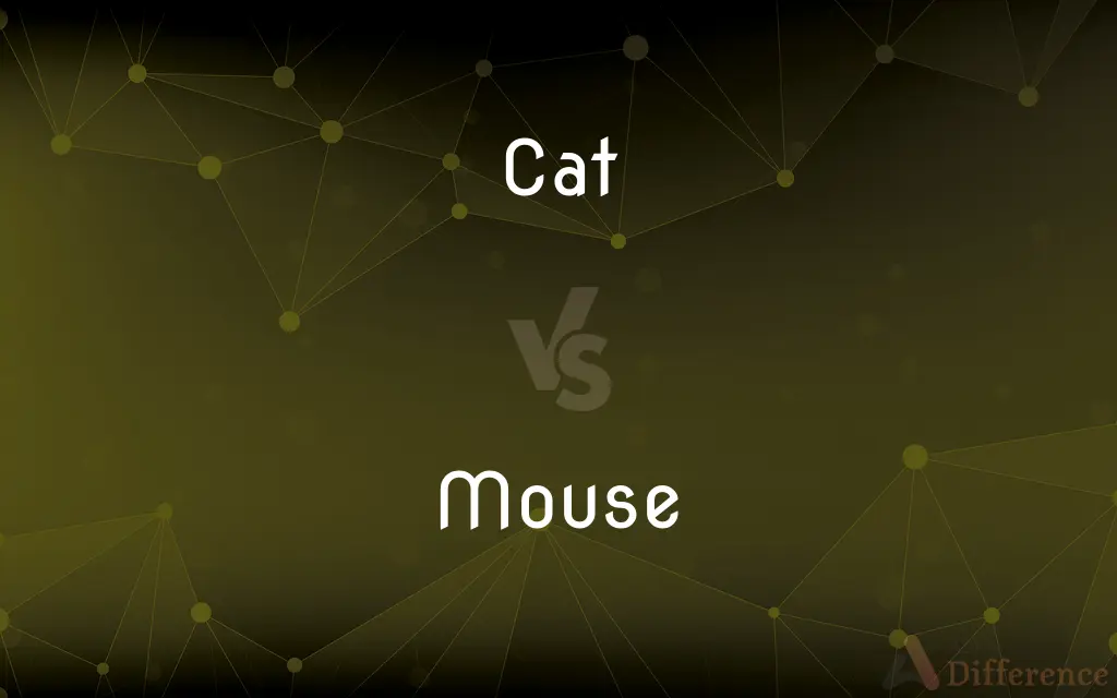 Cat vs. Mouse — What's the Difference?
