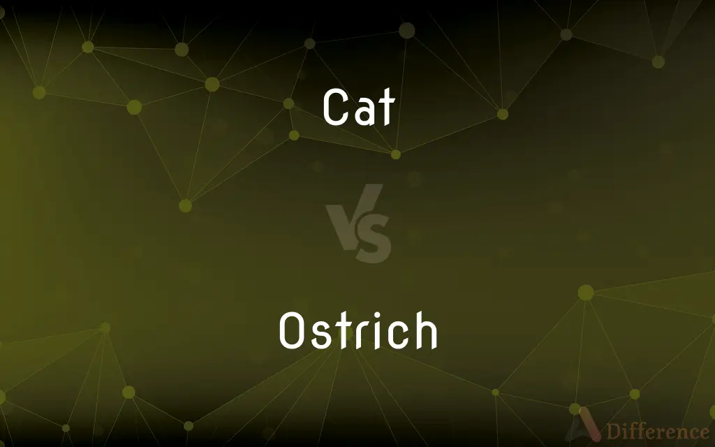 Cat vs. Ostrich — What's the Difference?