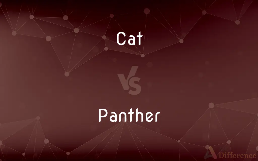 Cat vs. Panther — What's the Difference?