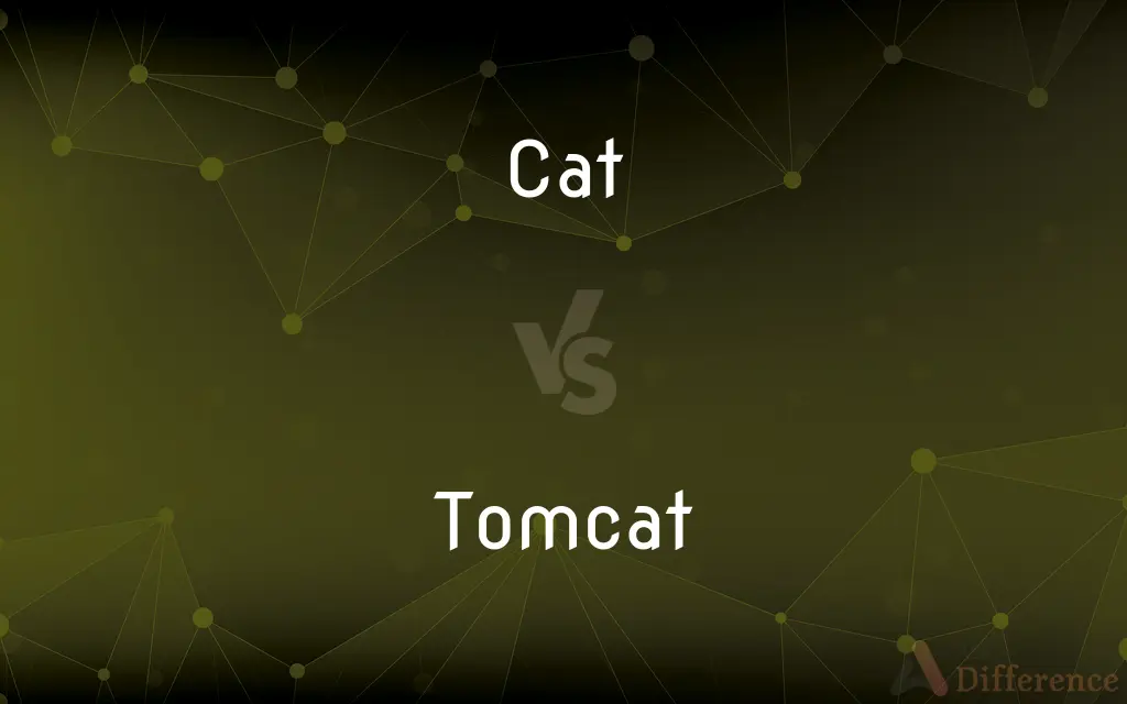 Cat vs. Tomcat — What's the Difference?