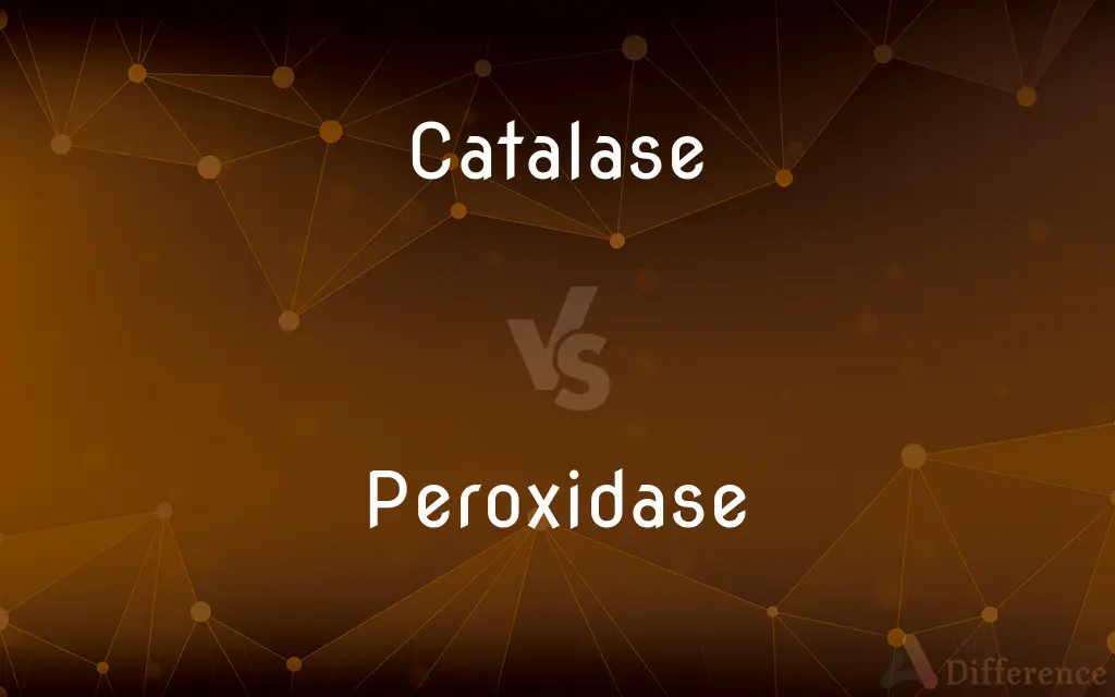 Catalase vs. Peroxidase — What's the Difference?