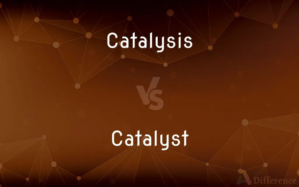Catalysis vs. Catalyst — What's the Difference?