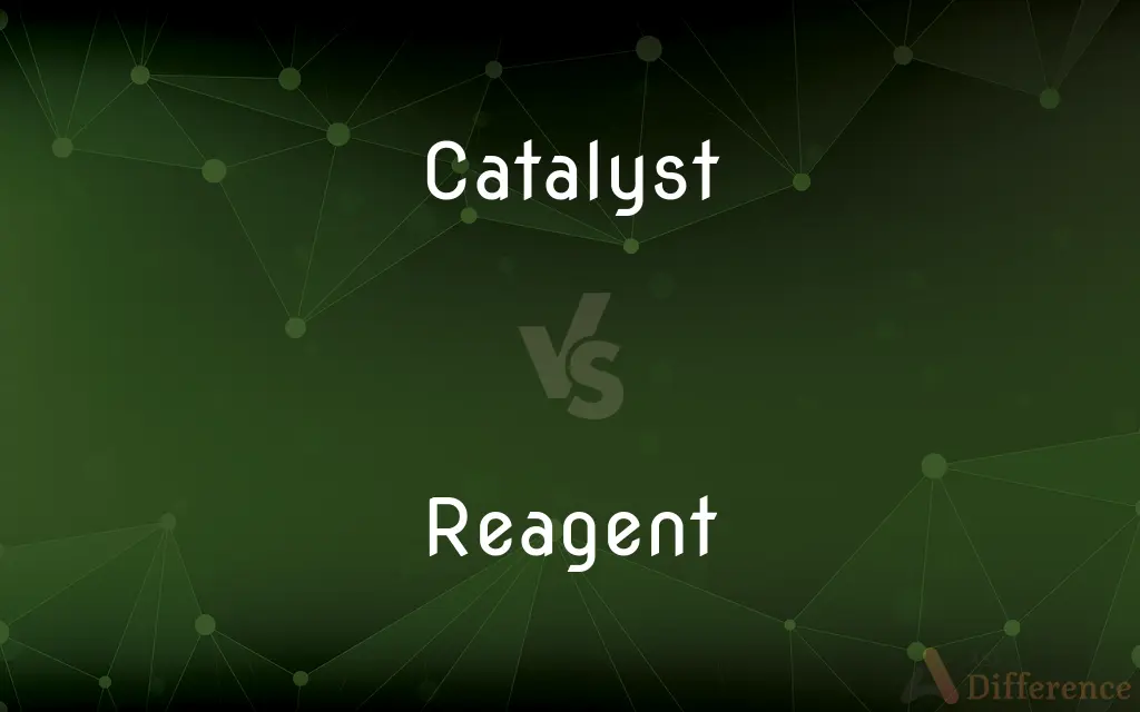 Catalyst vs. Reagent — What's the Difference?
