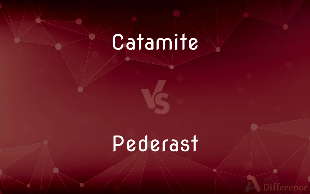Catamite vs. Pederast — What's the Difference?