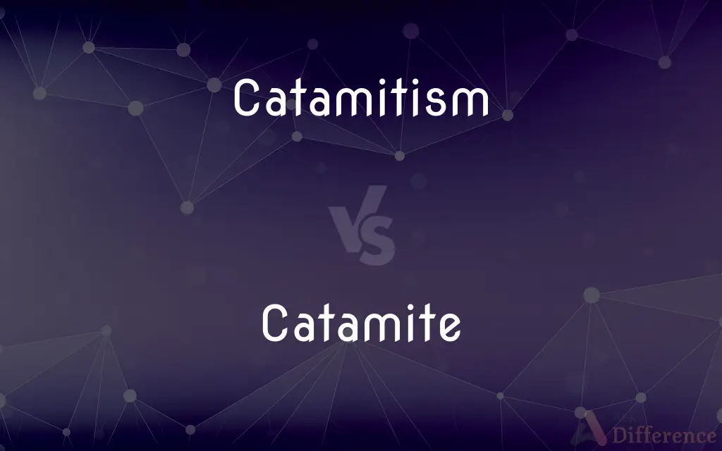 Catamitism vs. Catamite — What's the Difference?