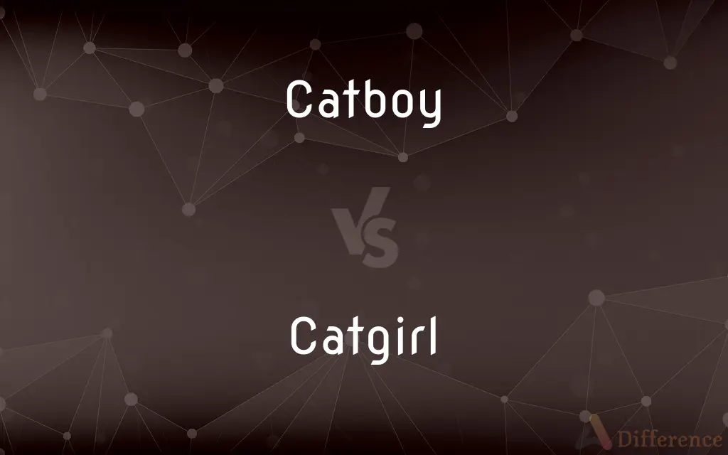 Catboy vs. Catgirl — What's the Difference?