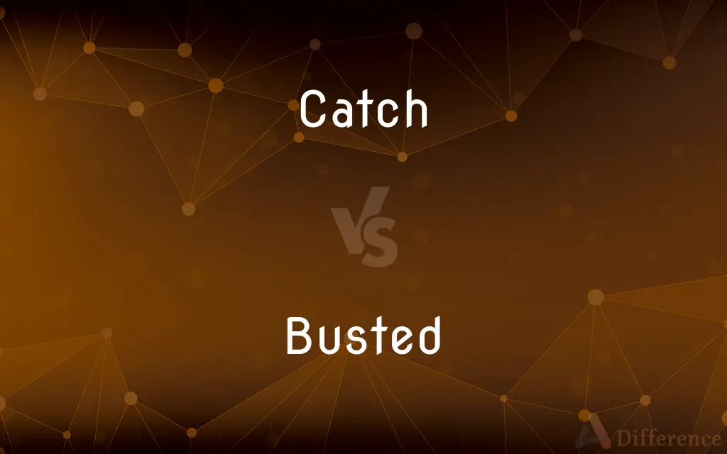 Catch vs. Busted — What's the Difference?