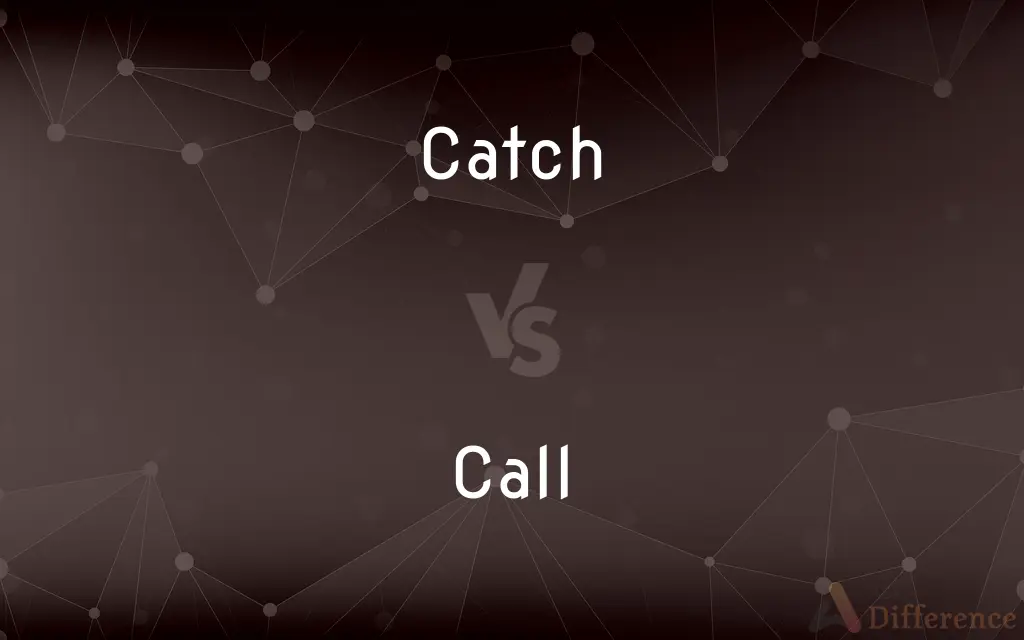 Catch vs. Call — What's the Difference?