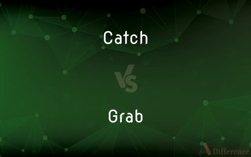 Catch vs. Grab — What's the Difference?
