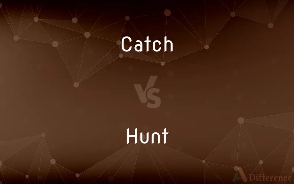 Catch vs. Hunt — What's the Difference?