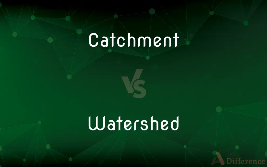 Catchment vs. Watershed — What's the Difference?
