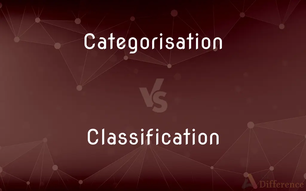 Categorisation vs. Classification — What's the Difference?