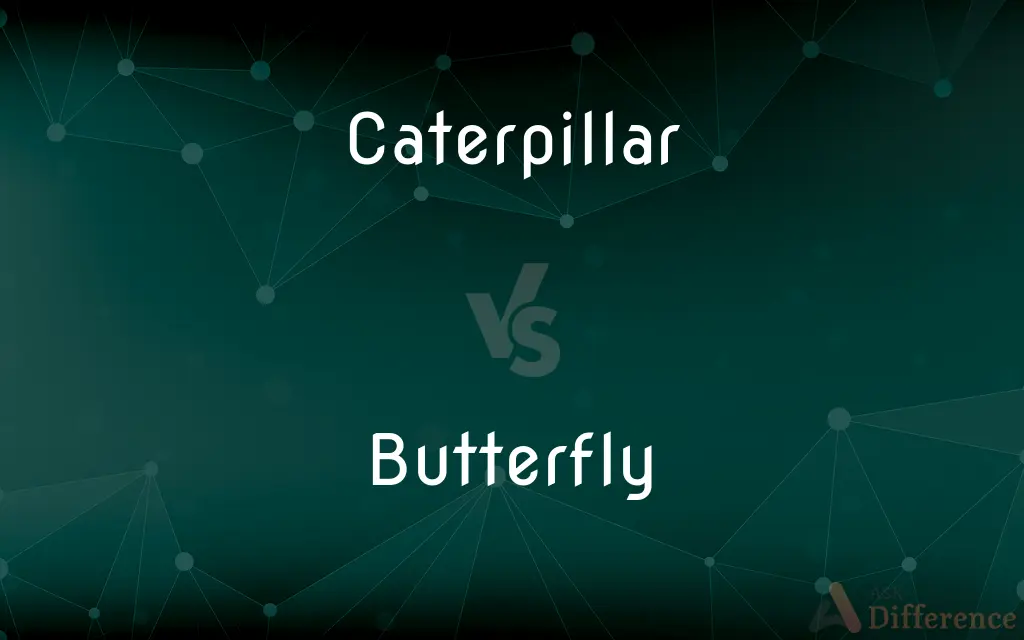 Caterpillar vs. Butterfly — What's the Difference?