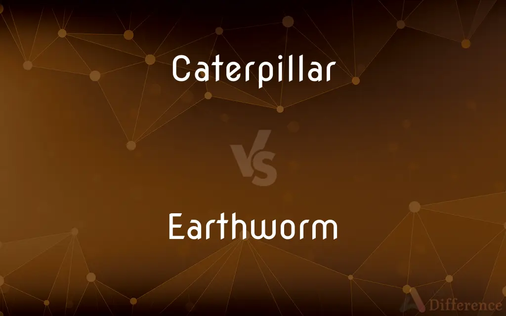 Caterpillar vs. Earthworm — What's the Difference?