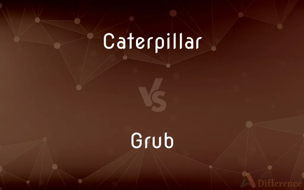 Caterpillar vs. Grub — What's the Difference?