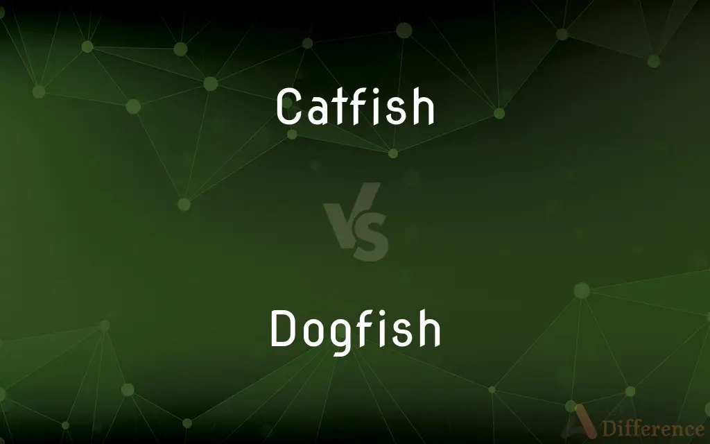 Catfish vs. Dogfish — What's the Difference?