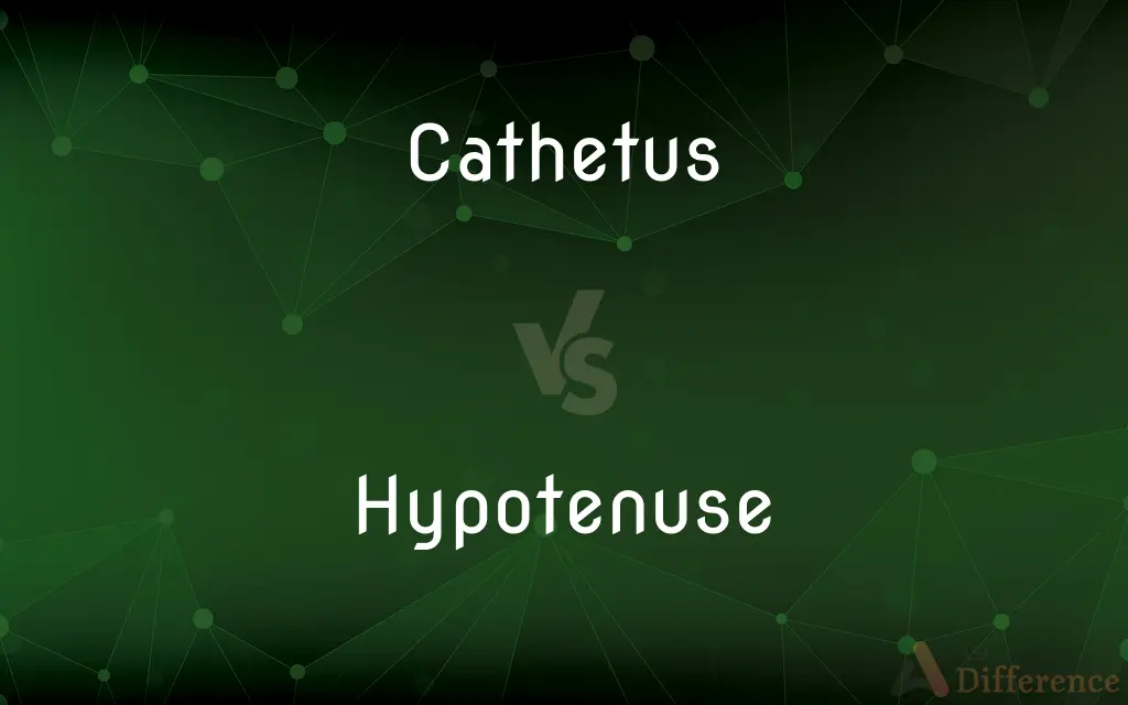 Cathetus vs. Hypotenuse — What's the Difference?