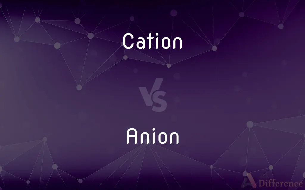 Cation vs. Anion — What's the Difference?